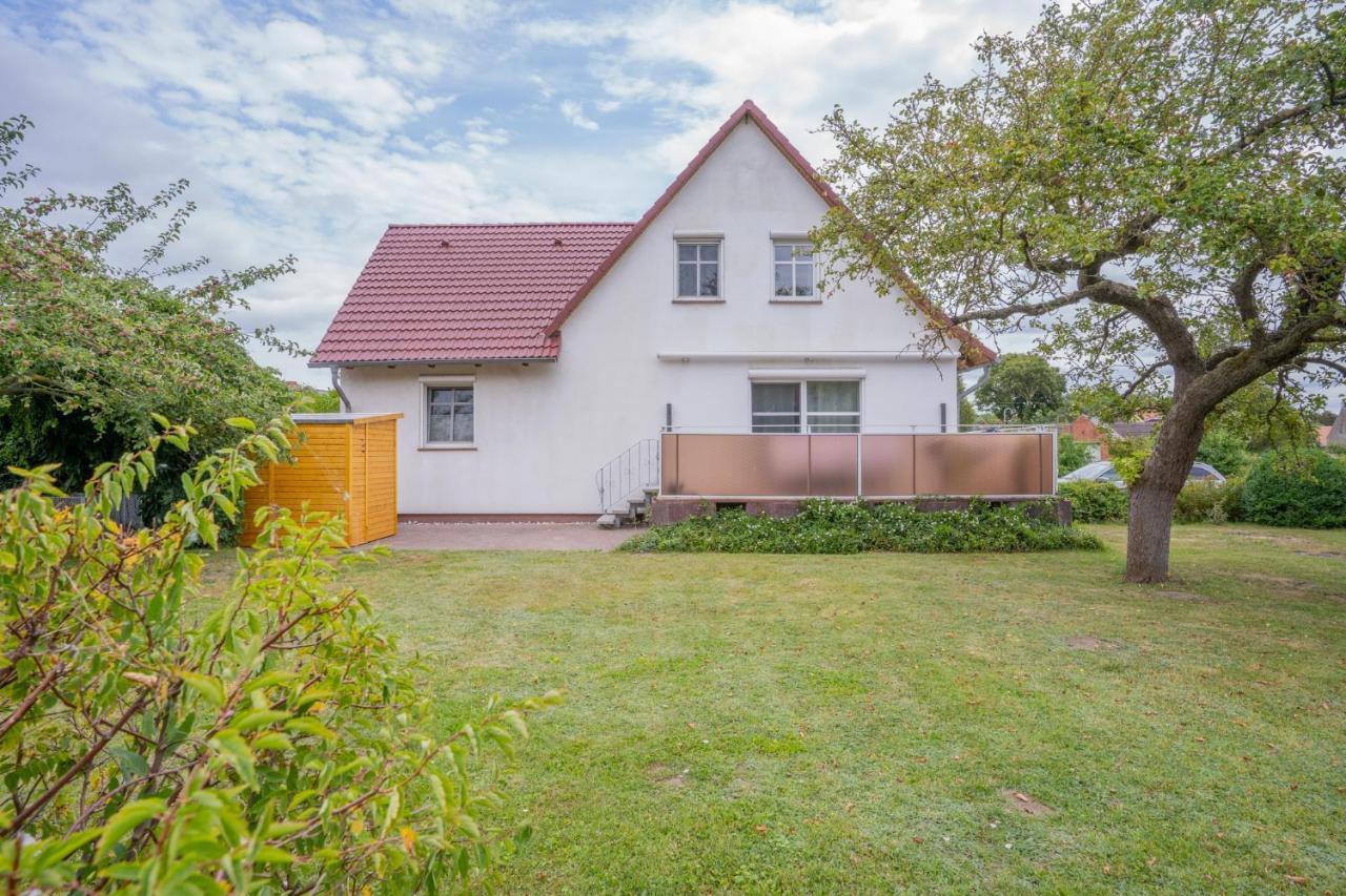 Ferienhaus "Seeadler" In Rankwitz Am Peenestrom Ngoại thất bức ảnh