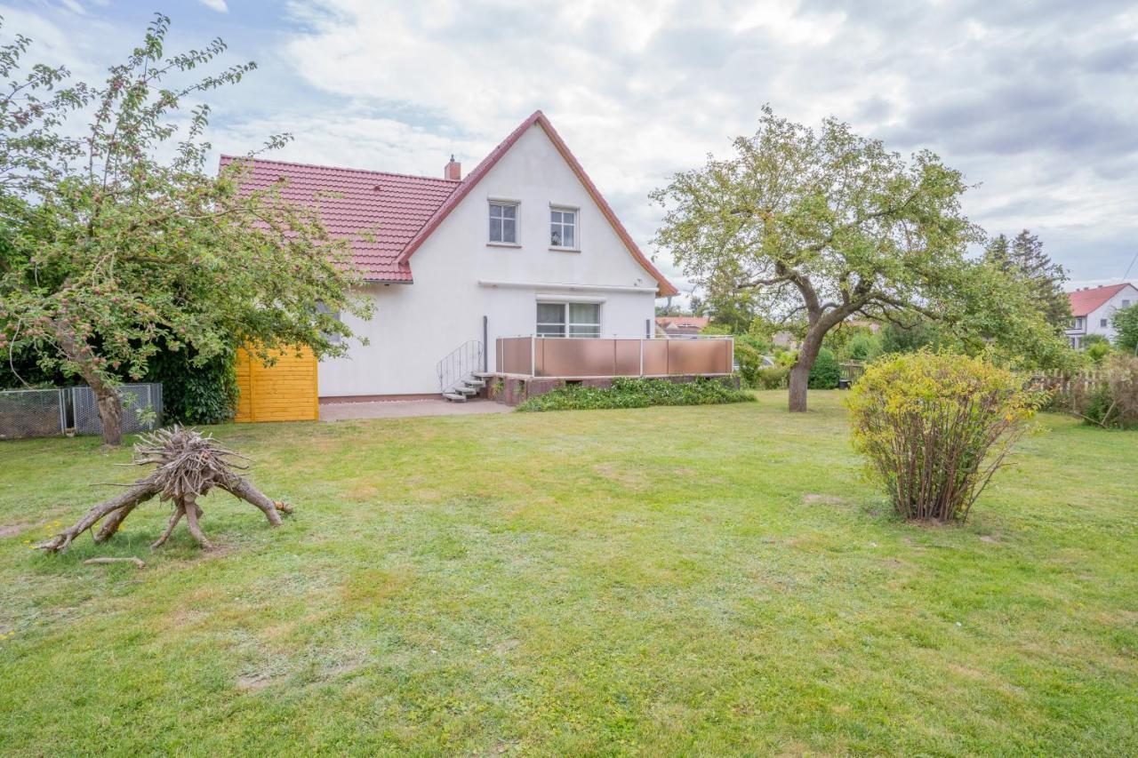 Ferienhaus "Seeadler" In Rankwitz Am Peenestrom Ngoại thất bức ảnh